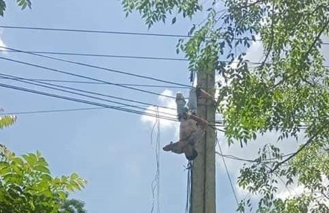 Người đàn ông treo ngược trên cột điện, quần áo bị cháy sém