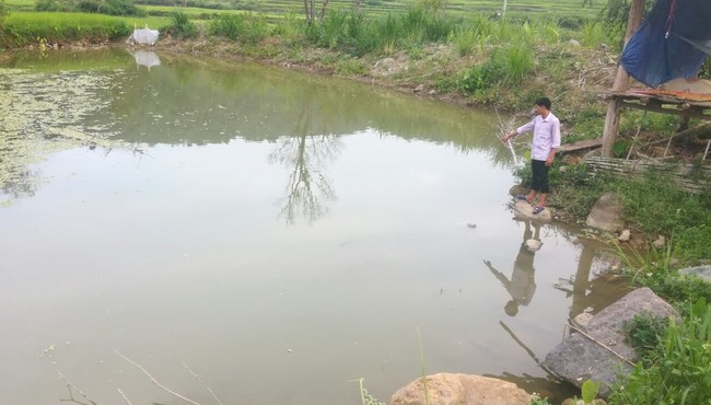 3 cháu nhỏ tử vong thương tâm ở Điện Biên