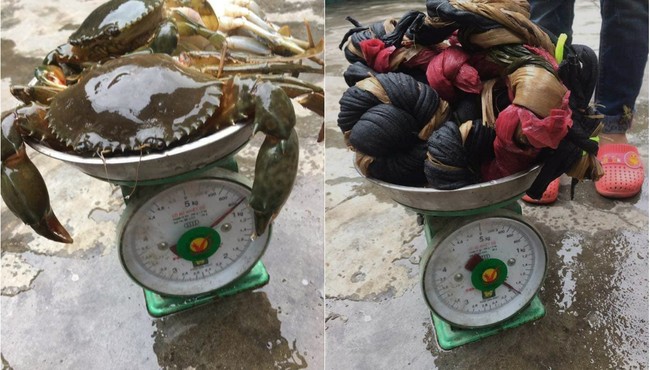 Đắng lòng chàng trai vớ phải cua 2,5kg độn 1,9kg dây