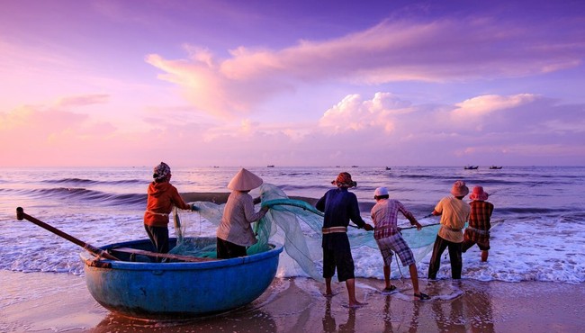 Nhóm ngành thuỷ sản đang quay lại đà tăng trưởng mạnh?