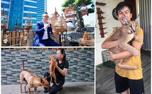 Bộ sưu tập thú cưng đắt đỏ của đại gia Việt