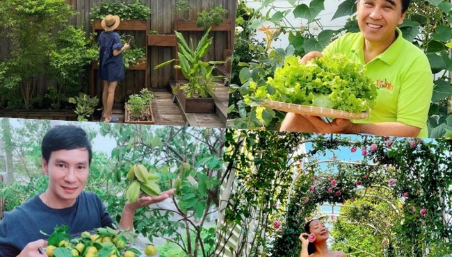 Quyền Linh, Lý Hải: Sở hữu biệt thự trăm tỷ, khu vườn trồng rau củ ăn quanh năm 