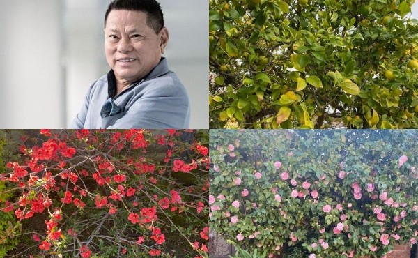 Vườn hoa rực rỡ trong biệt thự của tỷ phú Hoàng Kiều