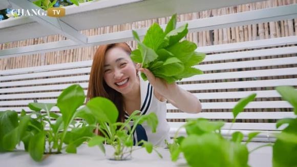 Đi xem khu vườn xanh mướt của vợ chồng Chi Bảo