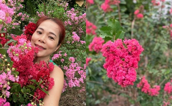 Bên trong biệt thự rực sắc hoa của ca sĩ Mỹ Lệ