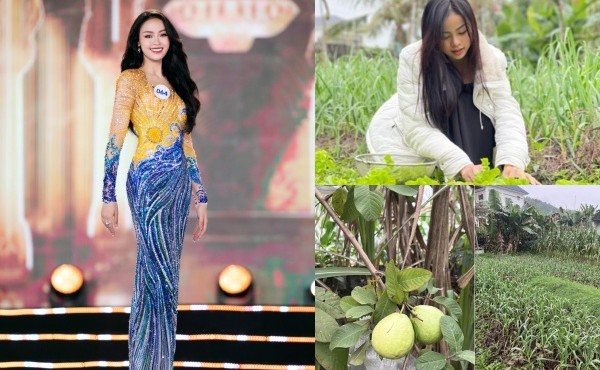 Vườn rau xanh mướt trong nhà Á hậu Đào Thị Hiền 