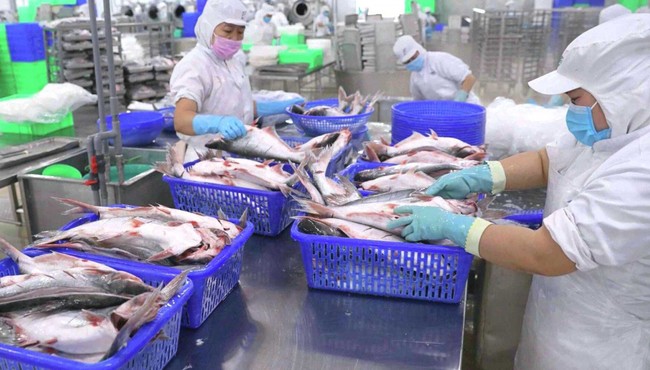VHC: Doanh thu trong tháng 10 đạt hơn 1.200 tỷ đồng