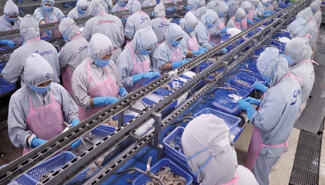Chân dung doanh nghiệp chế biến tôm chi cổ tức lên đến 110%