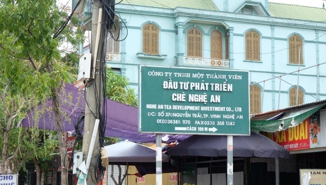 Chè Nghệ An bị công ty kiểm toán ngừng hợp tác