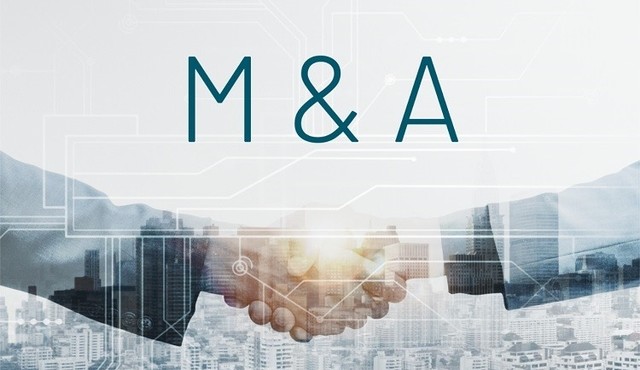 Các thương vụ M&A nổi bật năm 2024 