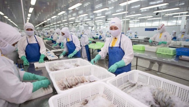 Sao Ta ước lãi cao nhất lịch sử