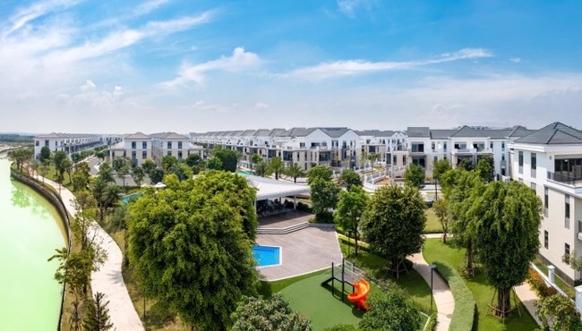 Novaland báo lỗ 4.350 tỷ đồng năm 2024
