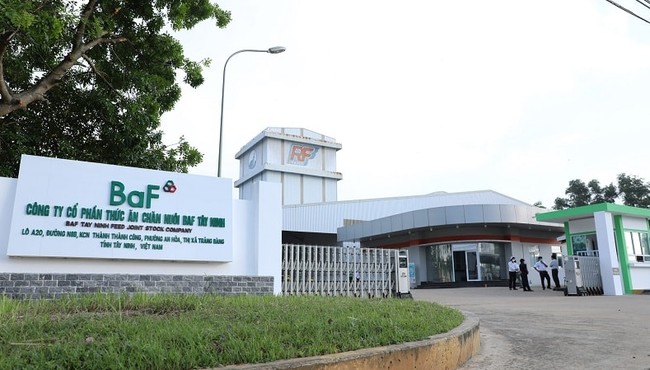 BaF Việt Nam báo lãi 2024 gấp 11 lần, dòng tiền kinh doanh âm