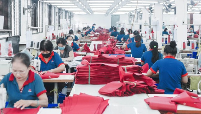 Legamex kinh doanh thua lỗ, Chủ tịch Nguyễn Hoàng Vũ muốn thoái toàn bộ vốn
