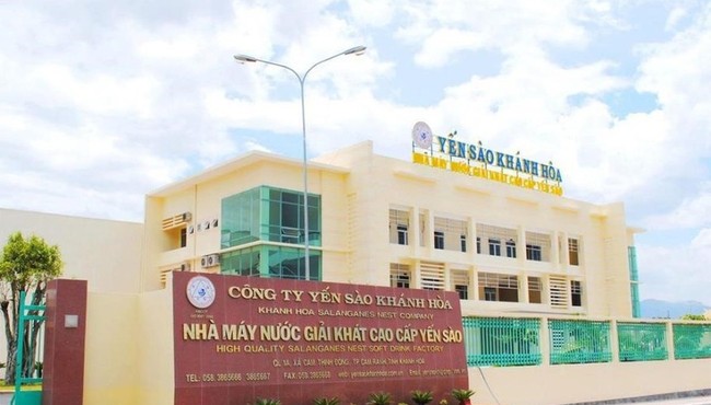 Lãi thấp nhất 7 năm, Sanest Khánh Hòa vẫn lên kế hoạch tham vọng