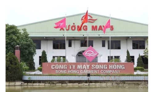 Cổ phiếu liên tục lập đỉnh, May Sông Hồng đang kinh doanh ra sao?