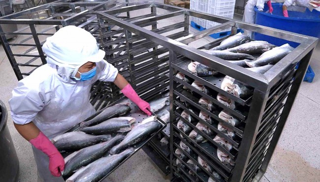 Thủy sản Nam Việt (ANV) vừa bị Cục Hải quan An Giang xử phạt
