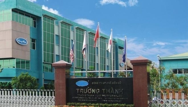 Gỗ Trường Thành (TTF) giải thể công ty con chuyên sản xuất đồ gỗ