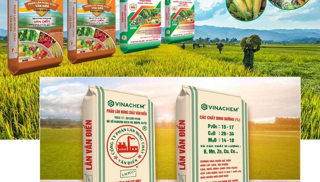 Cổ phiếu VAF của Phân lân Văn Điển rơi vào diện kiểm soát 