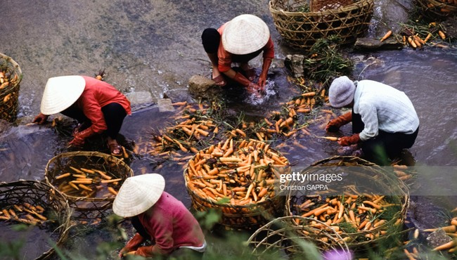 Những hình ảnh đẹp về Việt Nam đầu thập niên 1990 