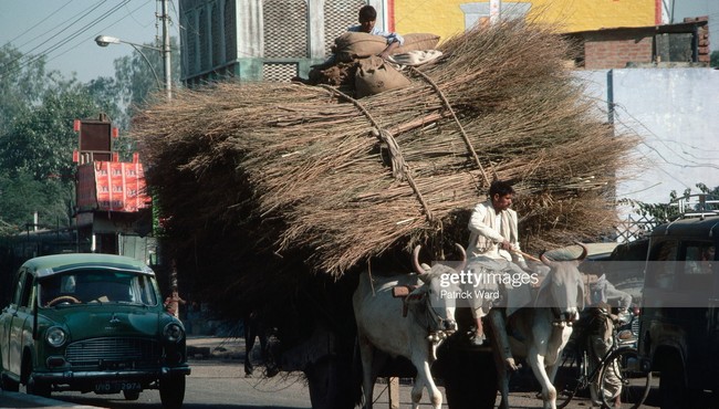 Loạt ảnh cực thú vị về cuộc sống ở Ấn Độ năm 1970 (2)