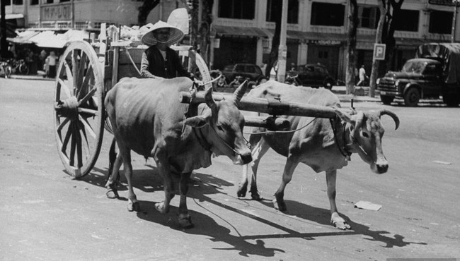 Cảnh mưu sinh trên đường phố Sài Gòn năm 1950