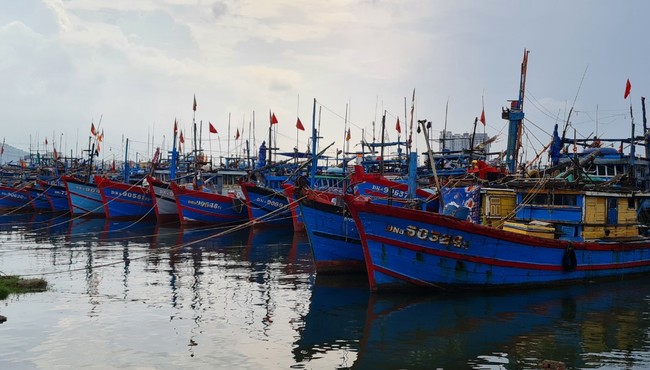 Đà Nẵng hối hả ứng phó siêu bão Noru chuẩn bị đổ bộ 