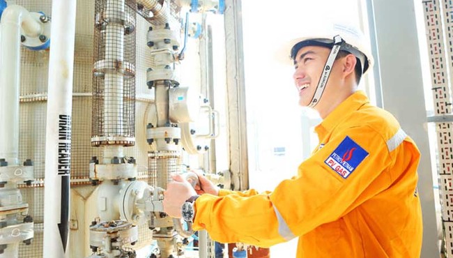 PGD lên kế hoạch lãi nhích nhẹ lên 204,5 tỷ, Tokyo Gas sẽ tăng sở hữu lên 25%