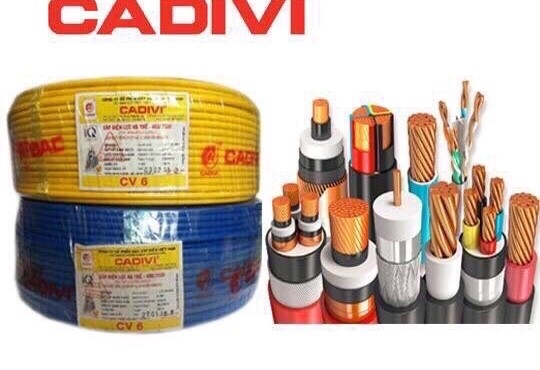 Cadivi lên kế hoạch lãi giảm 7% về mức 450 tỷ nhưng cổ tức vẫn duy trì 100%