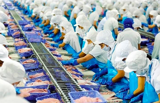 Thị trường Trung Quốc: Kỳ vọng nào cho VHC và PHR?