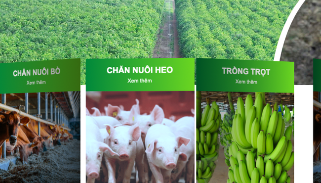 Vốn chủ 14.659 tỷ, Thagrico báo lãi 6 tháng hơn 6 tỷ đồng