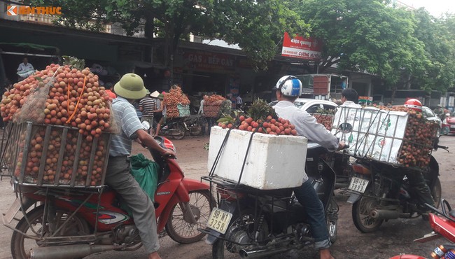 Vãi thiều Lục Ngạn giá cao kỷ lục 