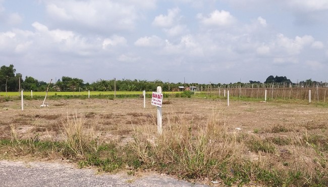 'Loạn' phân lô bán nền, Chủ tịch Bình Phước yêu cầu tạm dừng tách thửa đất nông nghiệp