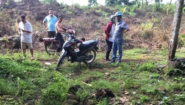 Nhân viên bất động sản chết bất thường trong vườn điều
