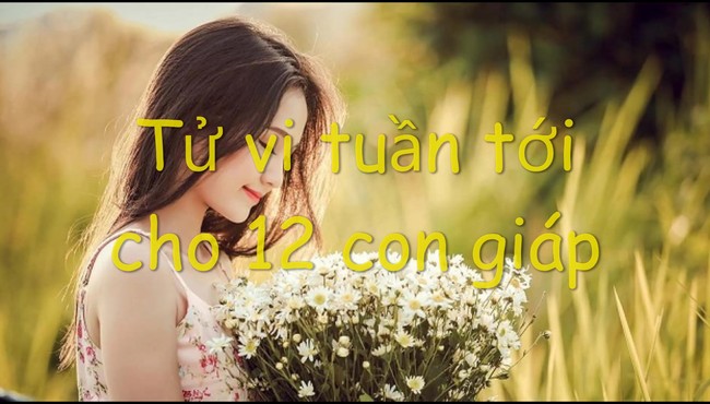 Tử vi tuần mới 12 con giáp từ 8 đến 14/7: Tuổi này bạc tiền đầy túi, tiêu xài xả láng 