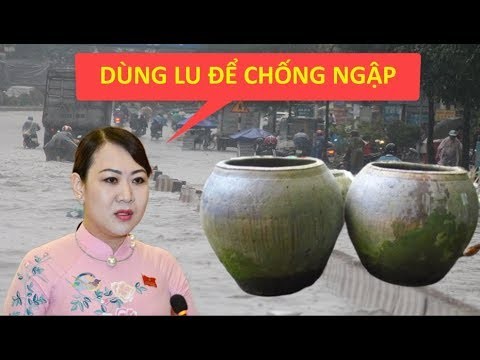 Giải pháp cái lu chống ngập ở TP HCM: Các chuyên gia y tế nói gì?