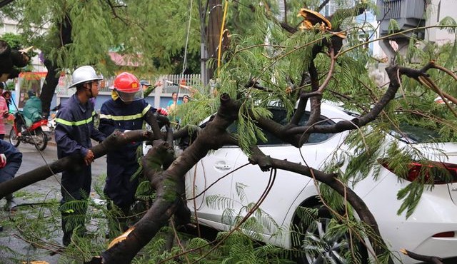 Bão số 4: Cây xanh gãy đổ ngổn ngang đè chết người trong giông lốc khủng