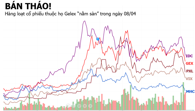 Hàng loạt cổ phiếu 'họ Gelex' bị bán tháo, nhiều mã nằm sàn 