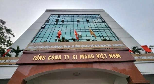 Vì sao thanh tra Vicem và 3 công ty con?