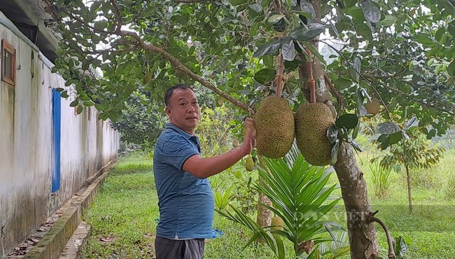 Vợ chồng anh nông dân Thái Nguyên thu tiền tỷ nhờ mô hình VAC