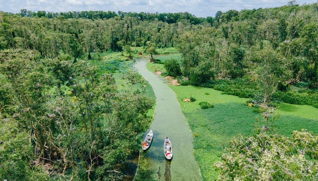 Về rừng tràm Trà Sư trải nghiệm sống xanh trọn vẹn