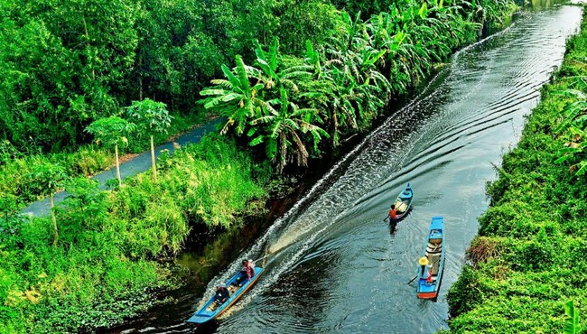 Sống trọn với thiên nhiên nơi đất rừng U Minh Hạ