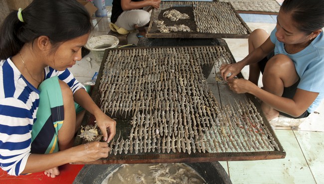 Bạn có dám thưởng thức đặc sản thằn lằn khô ở Indonesia?