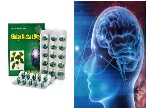 Thận trọng với thuốc tuần hoàn não Ginkgo biloba 