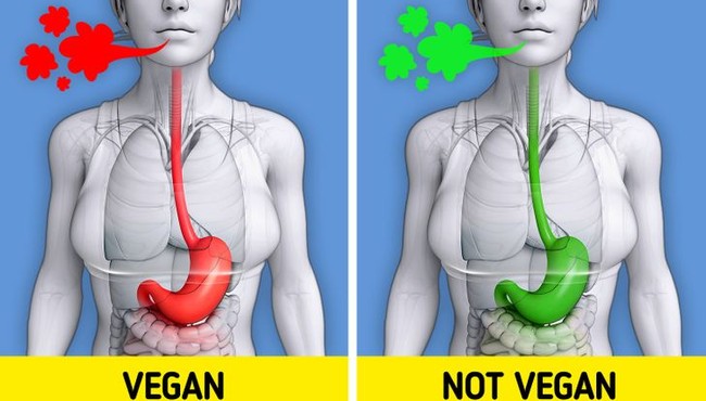 Ăn chay trường sẽ khiến cơ thể xảy ra những điều này