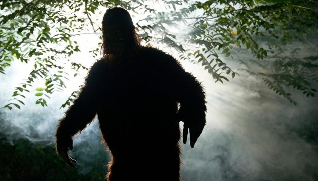 Vì sao khó bắt được quái vật bí ẩn nhất thế giới Bigfoot?