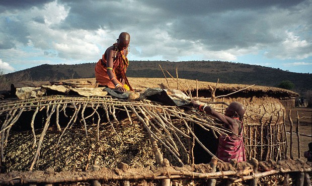 Vì sao bộ tộc người Maasai lấy phân trâu bò để xây nhà?