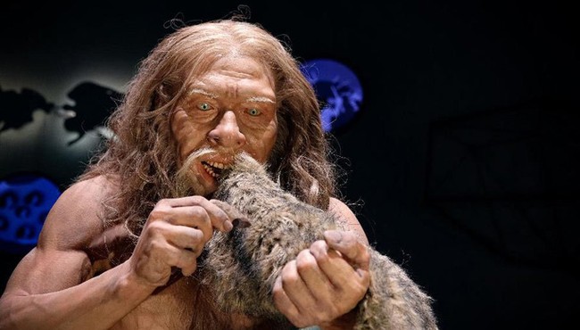 Người Neanderthals tuyệt chủng 40.000 năm trước vì... săn bắt thỏ?