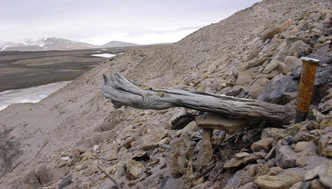 Hé lộ bí ẩn Greenland sau khi tìm thấy ADN cổ nhất thế giới