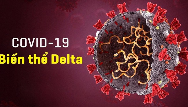 Theo quy luật virus phải suy yếu, còn Delta thì sao?